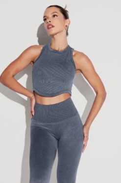 Let's Go Seamless Crop Top - Vintage Indigo -Quality Sport Wear Let sGoCropTop SSLeggings vintageindigo 1418 Edit